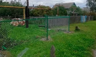 �����: ����� ������� �� �����-������ ��� ������� ����