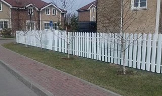 �����: ����� �� ������ ���������� RAL 9010